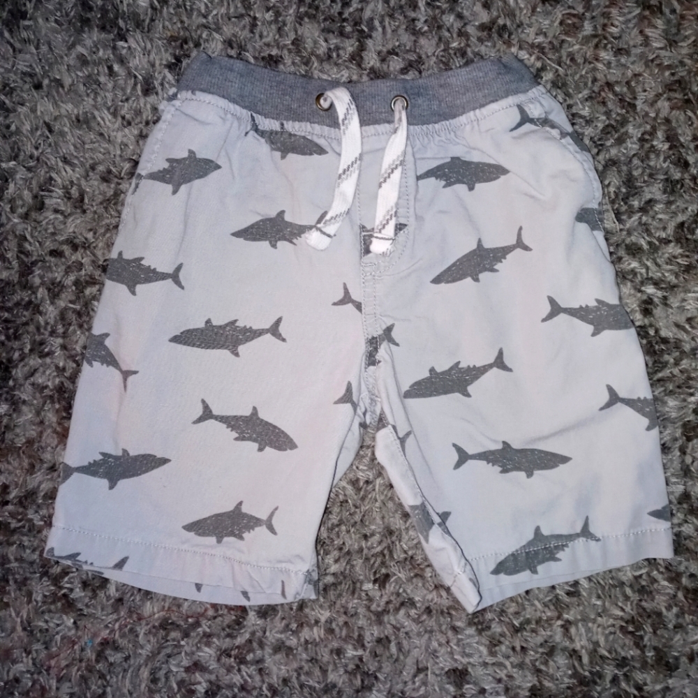 Boy shorts size 5T